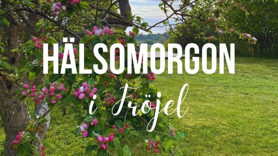 Hälsomorgon i Fröjel