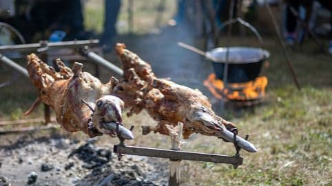 Lammgrillning på Vamlingbo prästgård