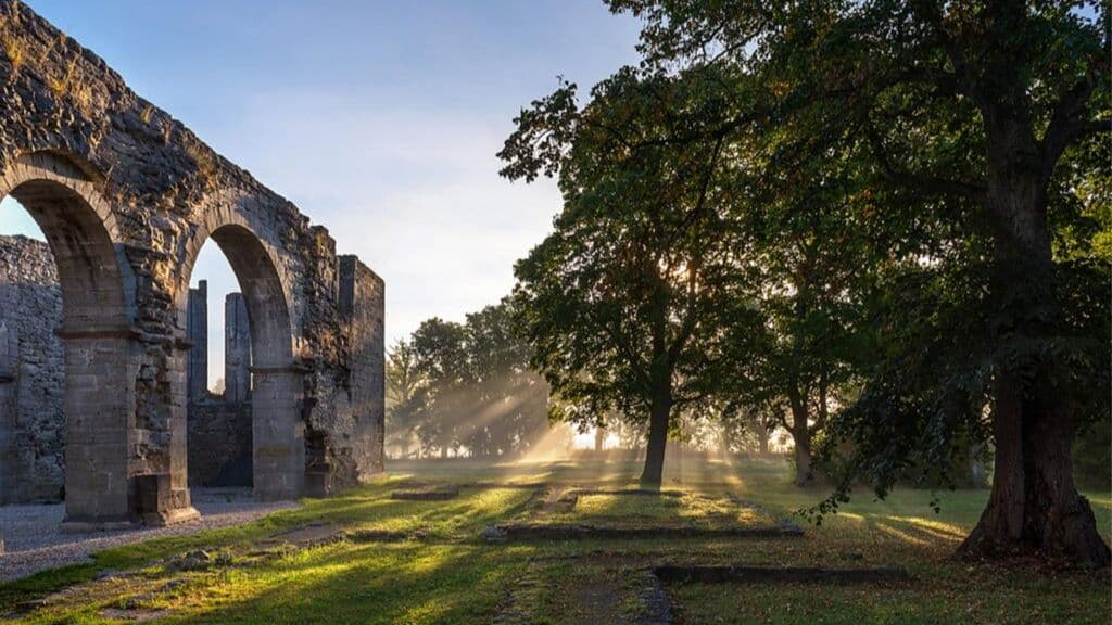 Vandring runt Roma kloster - 1000 år av historia och arkeologi för barn/familj, 1 och 8 augusti kl 13:00.