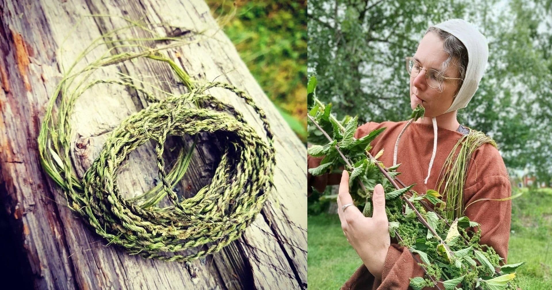 Historisk hyllning till brännässlor