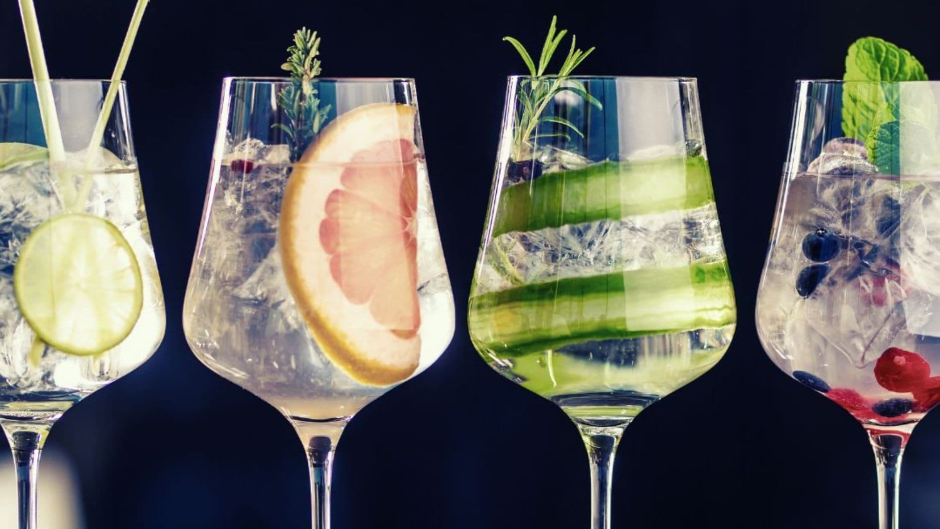 Gin & Tonicprovning