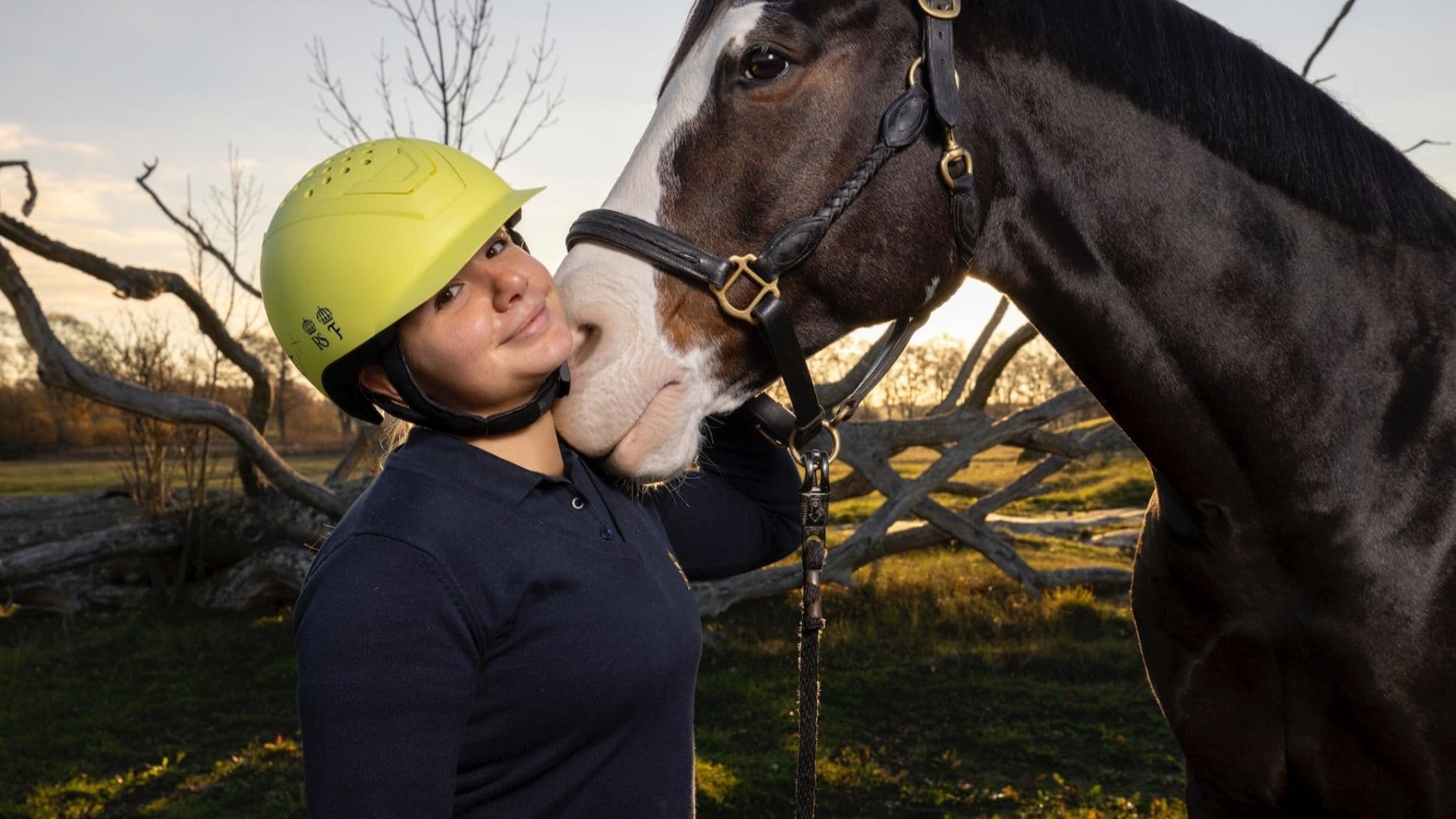 Horse welfare summit 2026