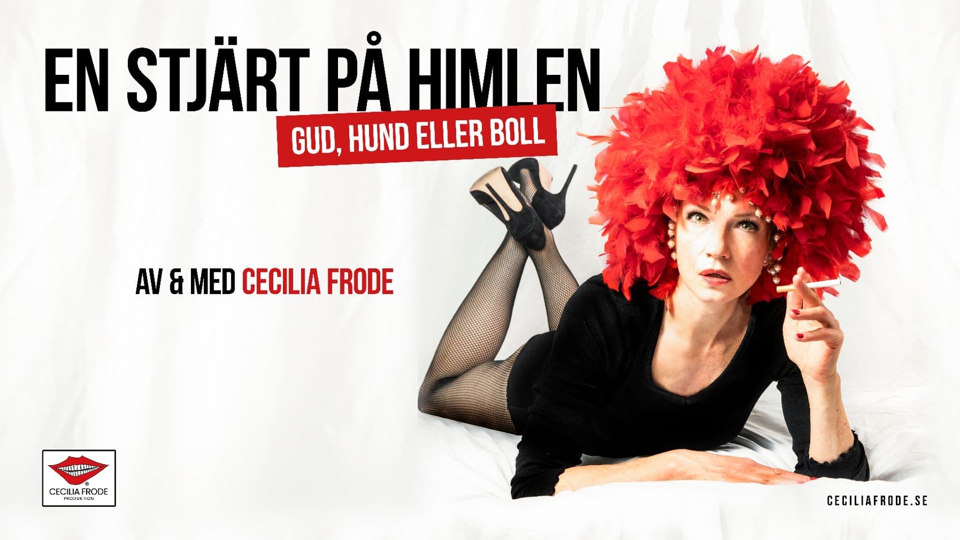 En stjärt på himlen Gud Boll eller Hund