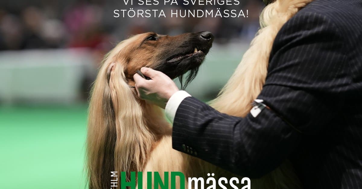 Stockholm Dog Fair 2026