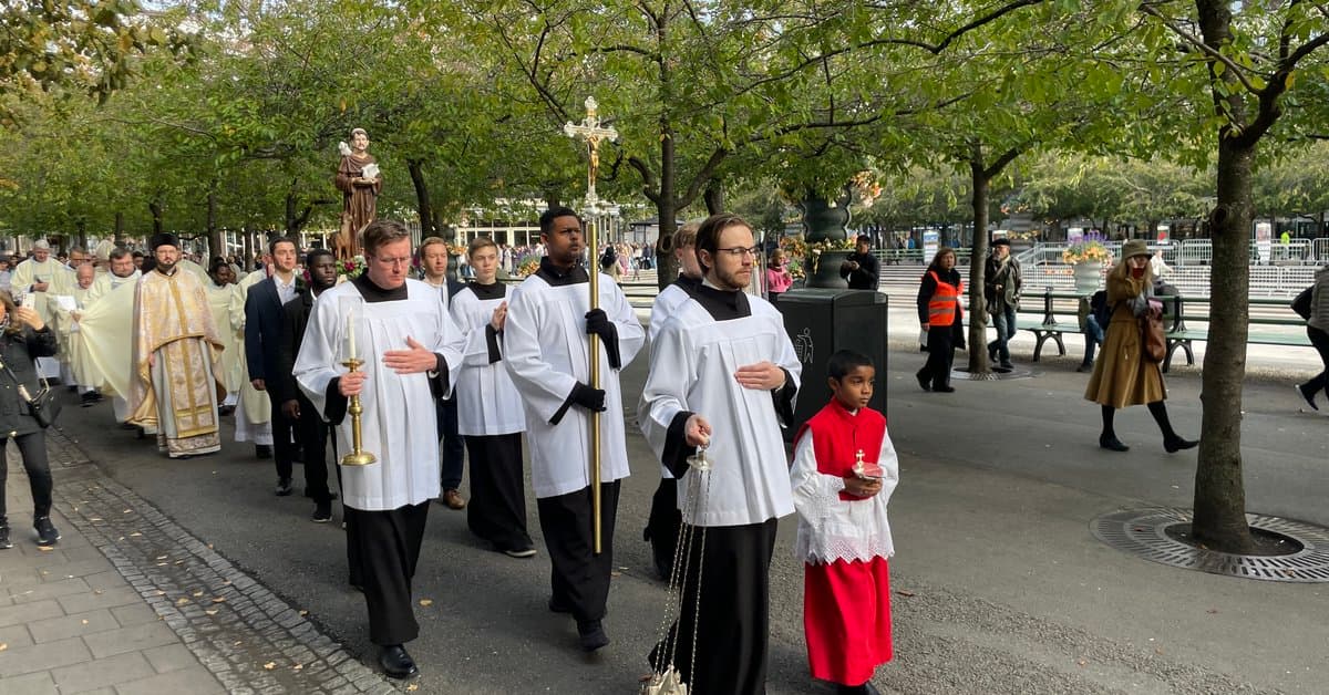 The Day of St Francis