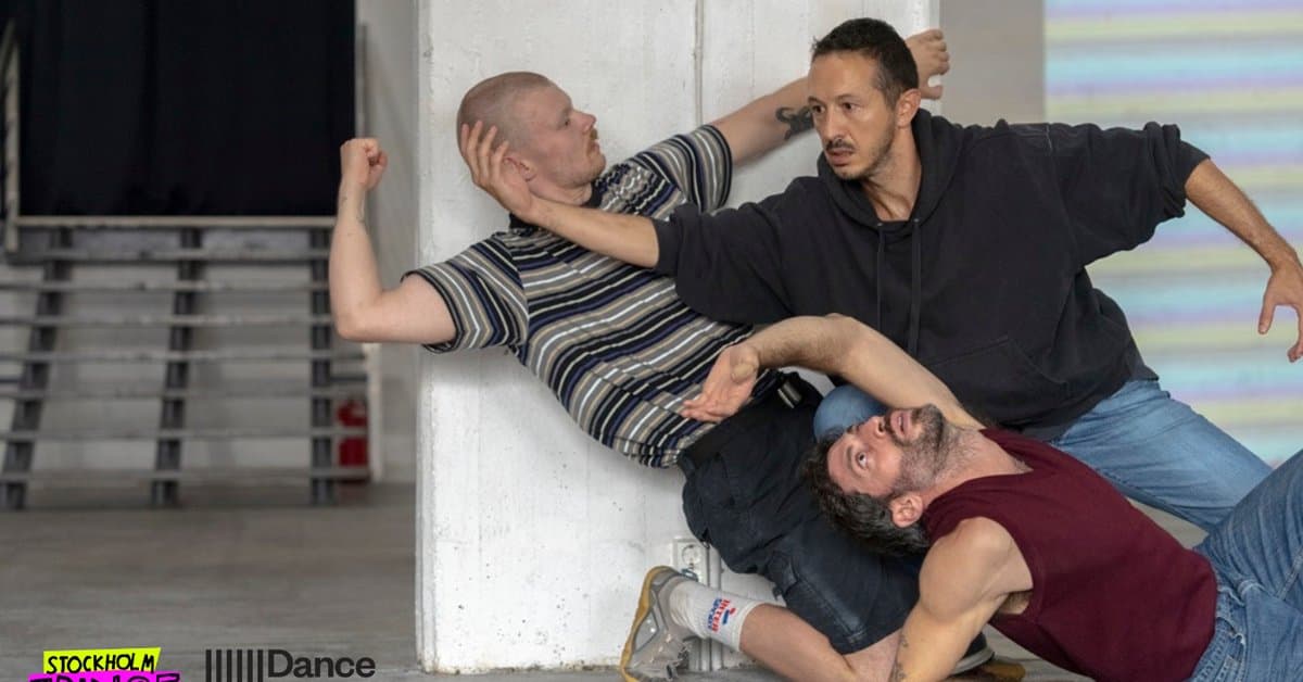 Workshop: “Challenging gender markers. What is a masculine gesture?”